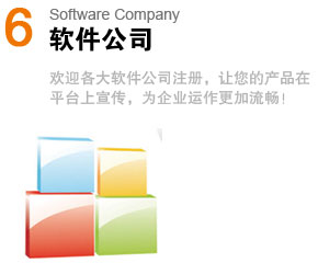 ˾Software Company